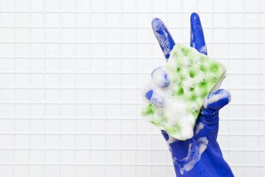 temizleme araçları