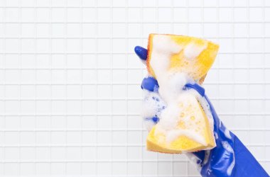 temizleme araçları