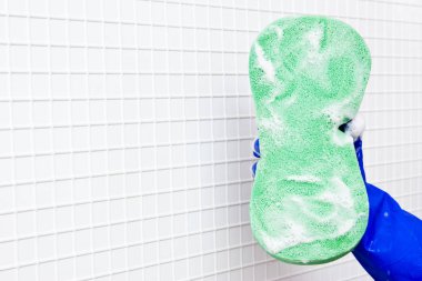 temizleme araçları