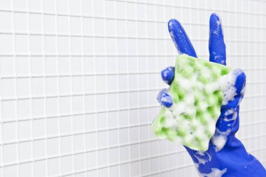 temizleme araçları