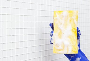 temizleme araçları