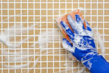 temizleme araçları