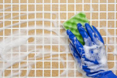 temizleme araçları