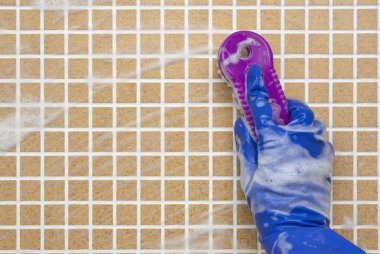 temizleme araçları