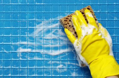 temizleme araçları