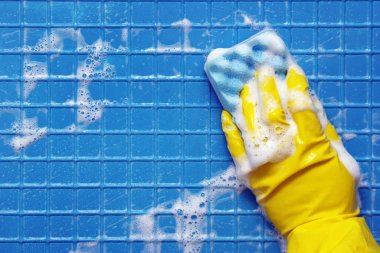 temizleme araçları