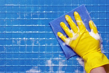 temizleme araçları