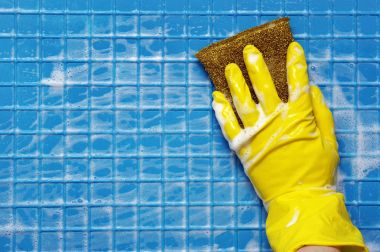 temizleme araçları