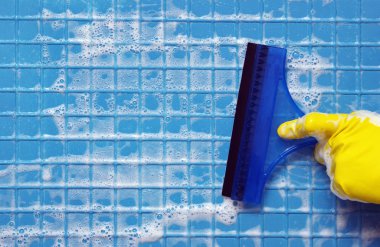 temizleme araçları