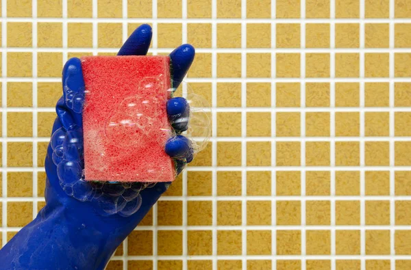 temizleme araçları