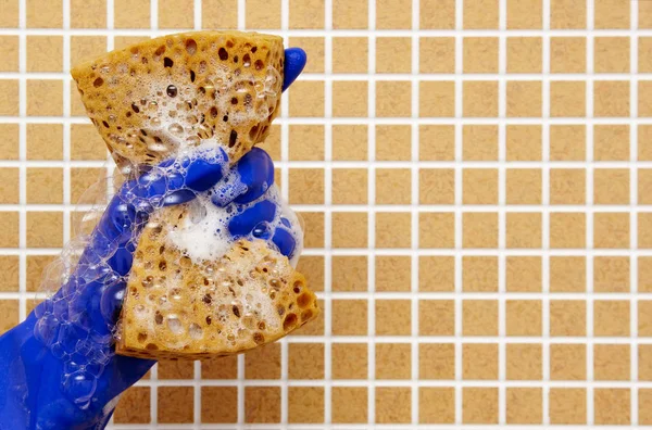 temizleme araçları