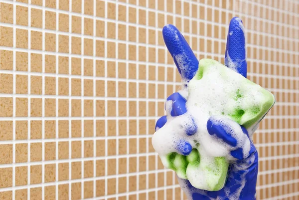 temizleme araçları