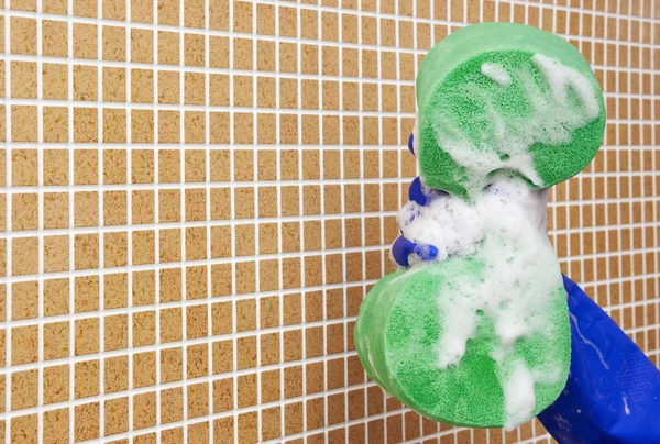 temizleme araçları