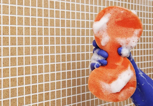 temizleme araçları