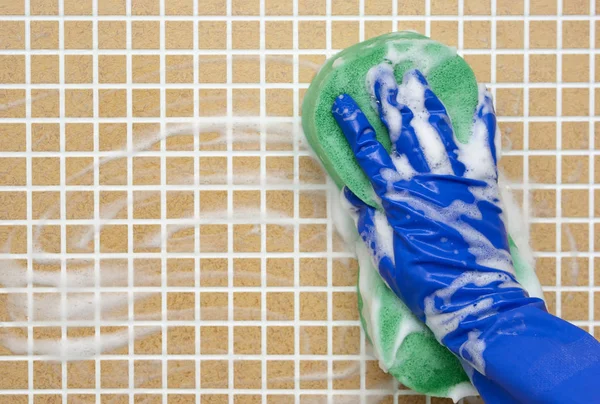 temizleme araçları