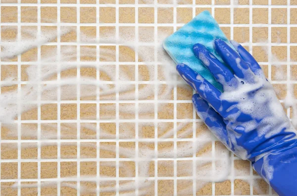 temizleme araçları