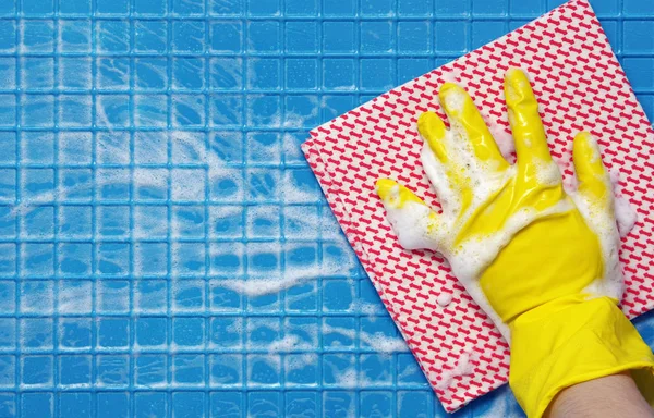 Hulpmiddelen voor het schoonmaken van — Stockfoto