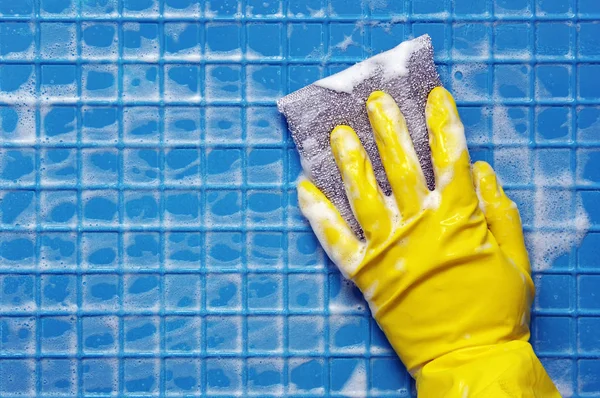 temizleme araçları