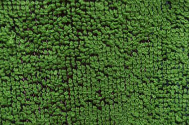 Doku yeşil Terry kaba kumaş