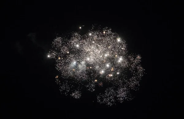 Εορταστικά Πυροτεχνήματα Ενάντια Στον Μαύρο Ουρανό — Φωτογραφία Αρχείου