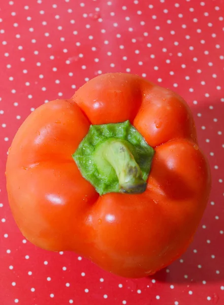 sweet red bell pepper on a red background with polka dots