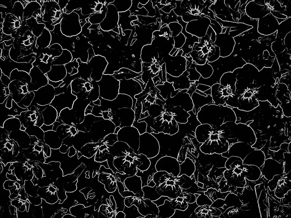 Flower pattern black and white outline of a pansies flower.