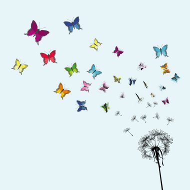 Karahindiba tohum trasforming renkli buterflies içine