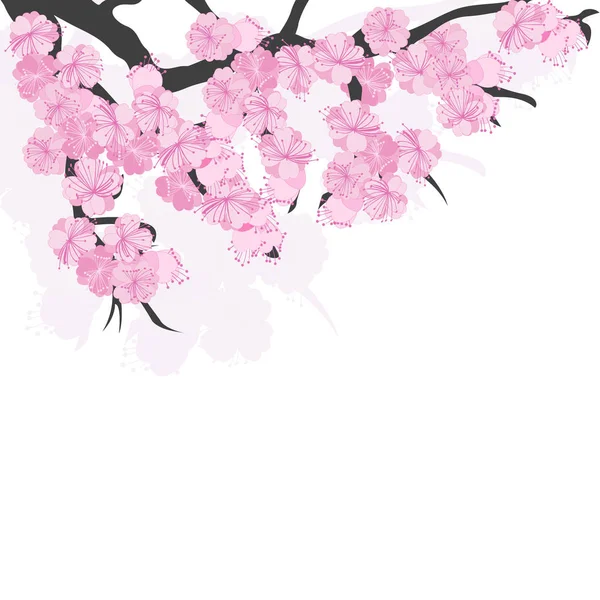 Branche de fleurs de cerisier avec des fleurs de sakura — Image vectorielle