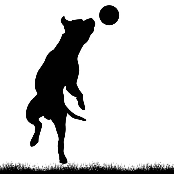 Собака играет с мячом — стоковый вектор