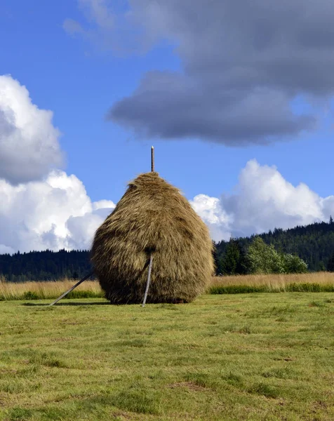 Haystack для корма животных — стоковое фото