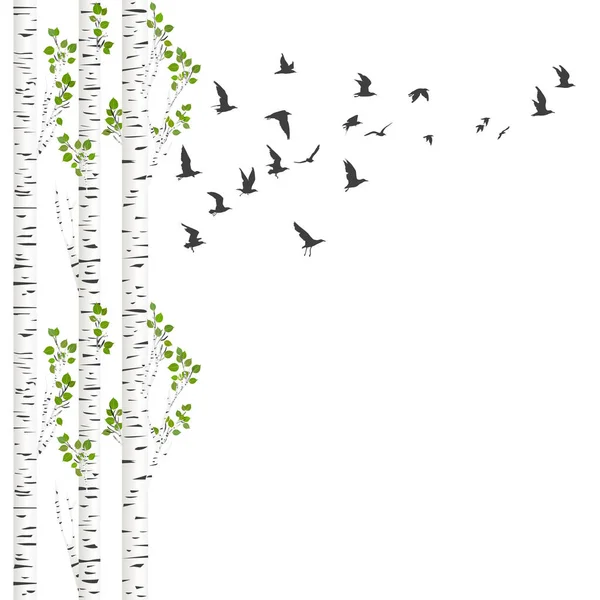 Huş ağaçları ve kuşlar ile arka plan — Stok Vektör
