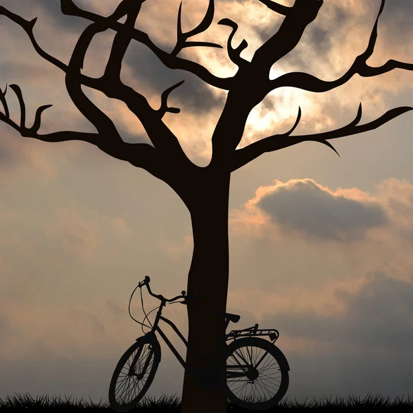 Bicycle supported by a tree — Stock Photo, Image