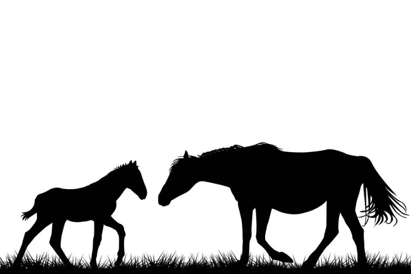 母马和她的小马驹的剪影 — 图库矢量图片