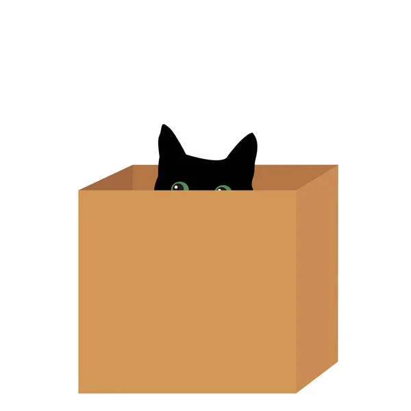 Schwarze Katze in einer Box — Stockvektor