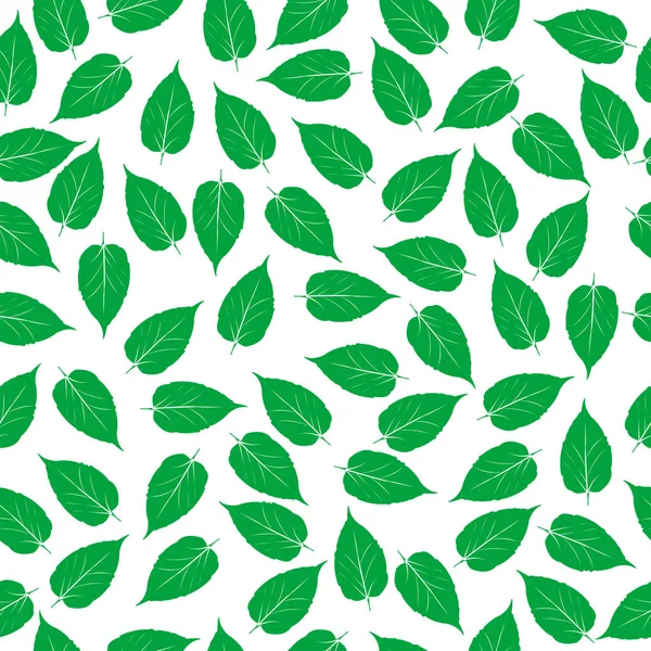 Grüne Blätter auf weißem Hintergrund — Stockvektor