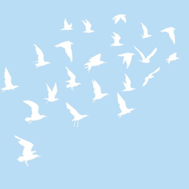 Uçan Kuş silhouettes