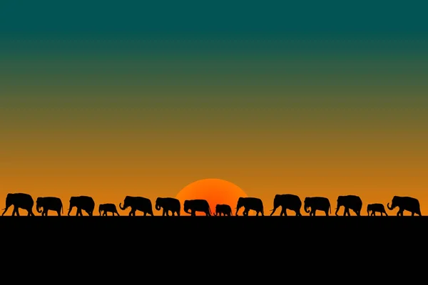 Herd of elephants — Stock Vector