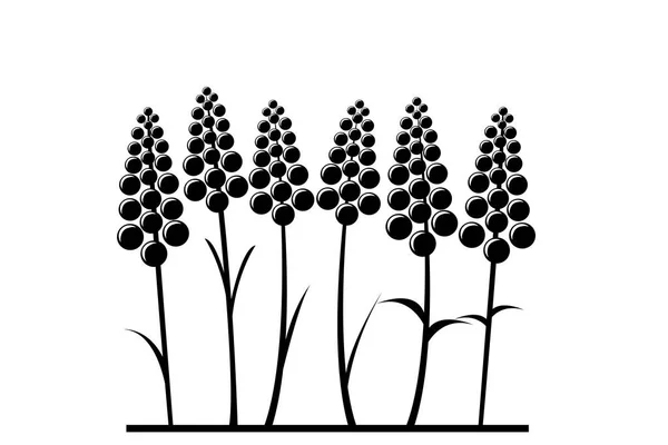 양식에 일치 시키는 라벤더 꽃 — 스톡 벡터