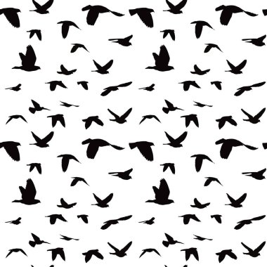 Güvercinler seamless modeli sürüsü