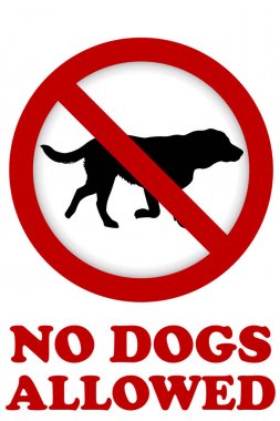köpek izin verilen bir iz yok