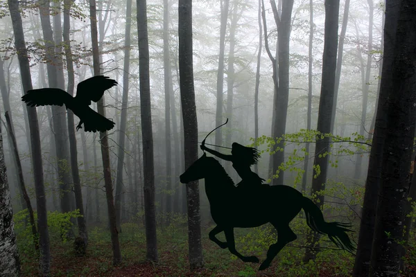 Silhouette of an amazon warrior woman riding a horse with bow an — Stock Photo, Image