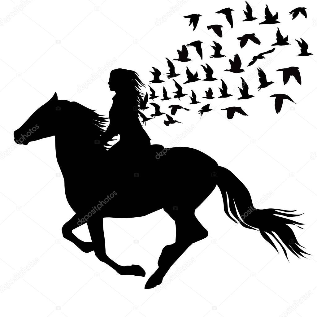 Abstract illustration of woman riding a horse and birds silhouet
