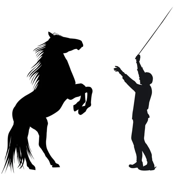 Человек тренирует лошадь, чтобы подняться — стоковый вектор