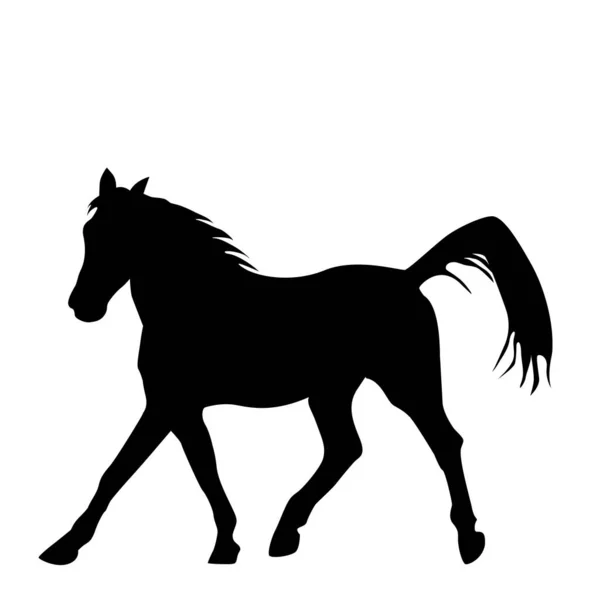 Black Silhouette Horse Isolated White Background — Stock Vector