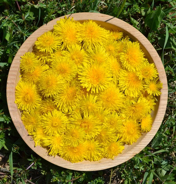 Viele Blumen Von Taraxacum Officinale Einer Hölzernen Schale Auf Dem — Stockfoto