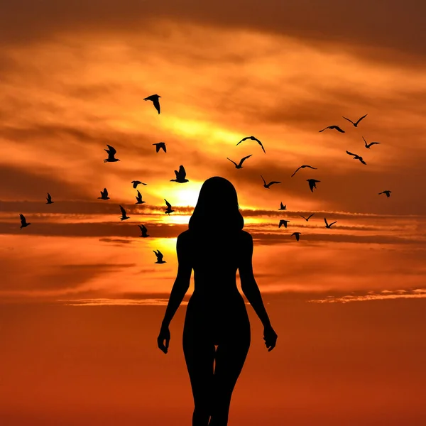 Silueta Mujer Con Pájaros Volando Alrededor Atardecer — Foto de Stock