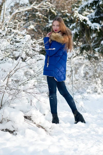 Красиві взимку дівчата — стокове фото