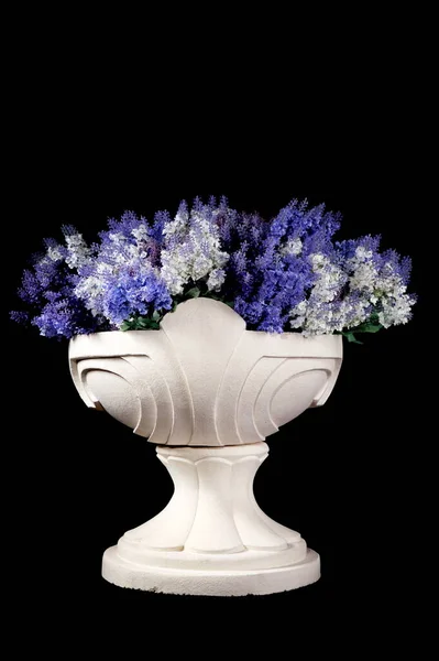 Grands Vases Argile Jardin Avec Des Plantes Décoratives Sur Fond — Photo