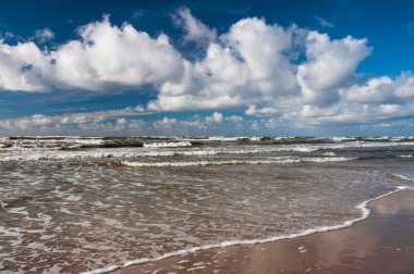 Sonbaharda kumlu bir plaj üzerinde