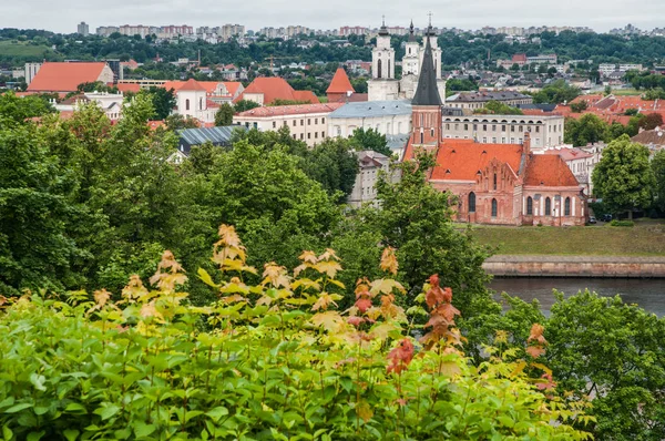 Litvanya şehir Kaunas